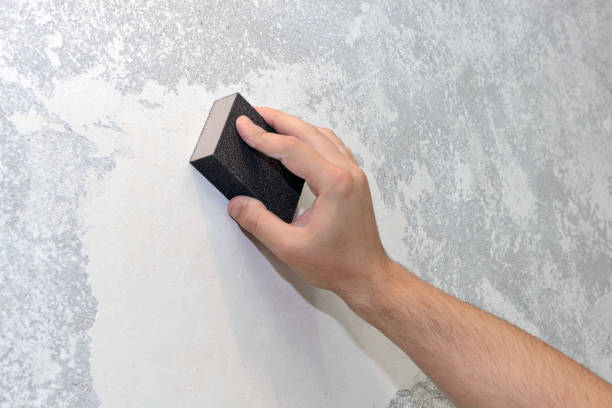 Best Mold Remediation for Healthcare Facilities  in Point Venture, TX