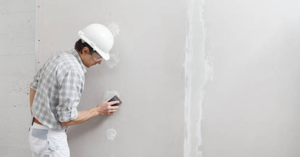 Best Post-Construction Mold Inspection  in Point Venture, TX