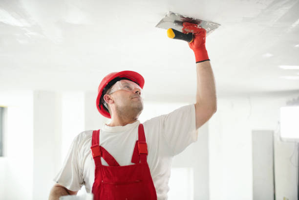 Best Mold Odor Removal Services  in Point Venture, TX